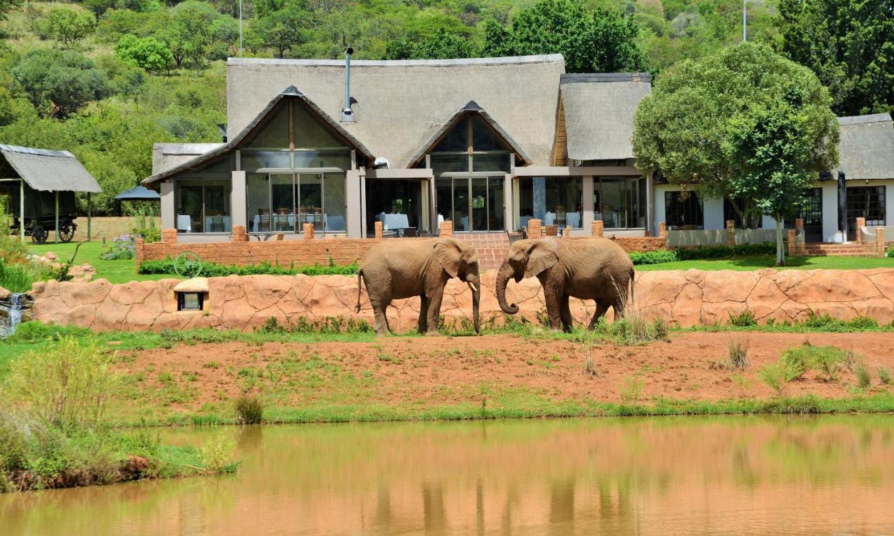African Hills Safari Lodge & Spa Magaliesburg Εξωτερικό φωτογραφία