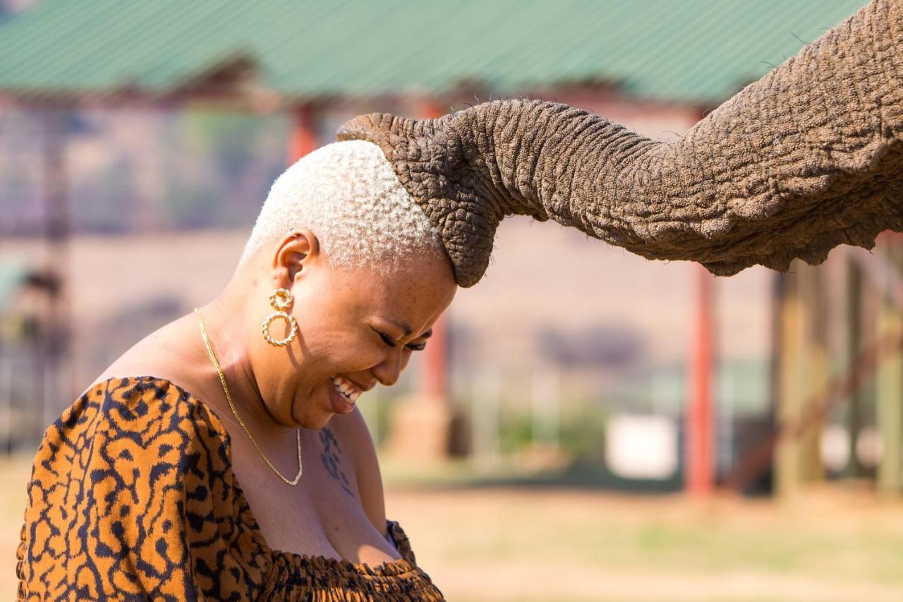 African Hills Safari Lodge & Spa Magaliesburg Εξωτερικό φωτογραφία