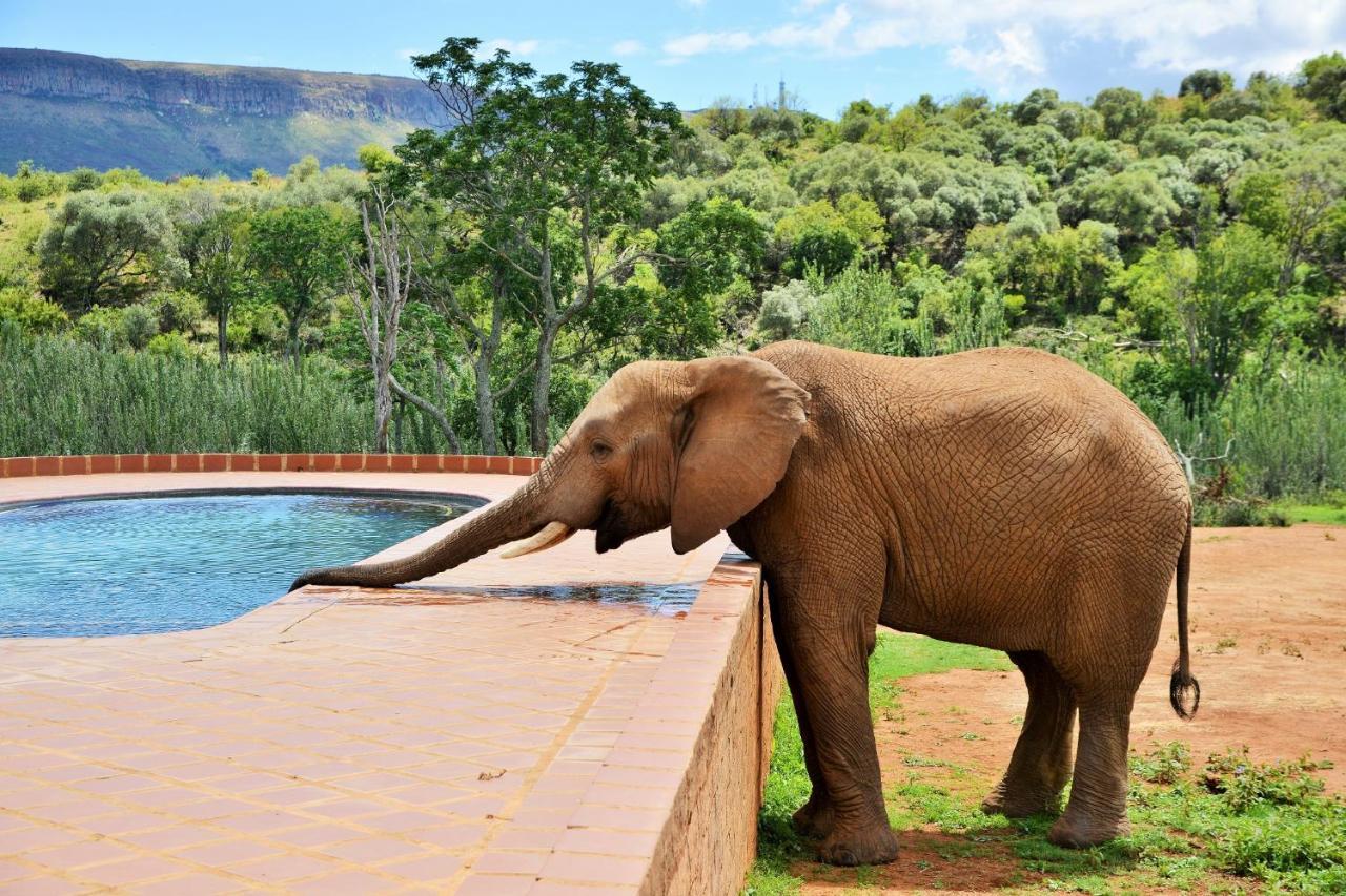 African Hills Safari Lodge & Spa Magaliesburg Εξωτερικό φωτογραφία