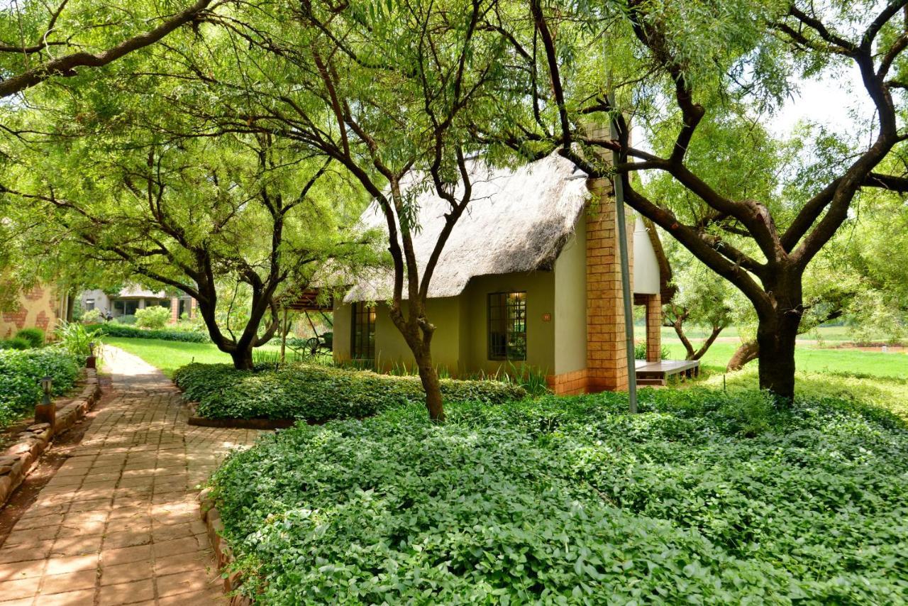 African Hills Safari Lodge & Spa Magaliesburg Εξωτερικό φωτογραφία