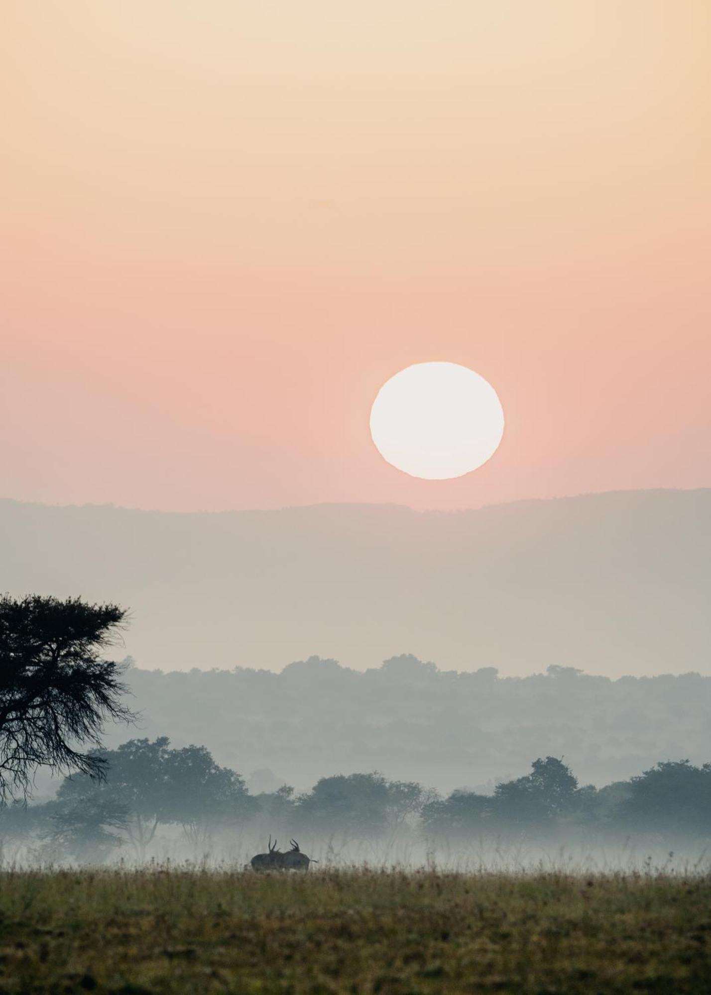 African Hills Safari Lodge & Spa Magaliesburg Εξωτερικό φωτογραφία
